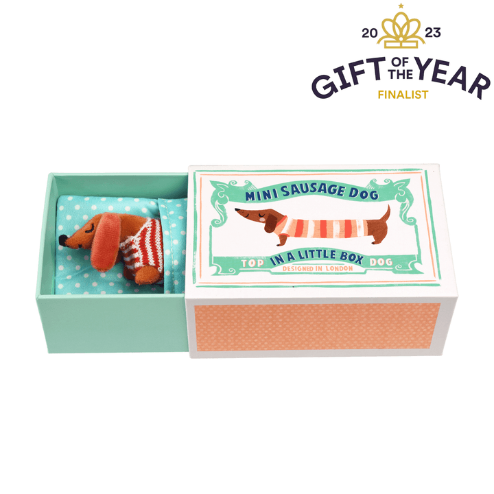 Mini sausage dog in a little box - Sausage Dog soft toy from Rex London