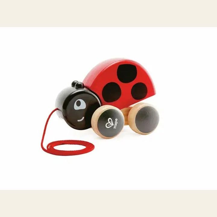 A pull-along ladybird